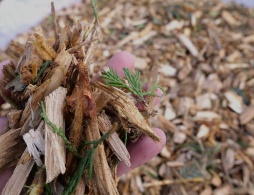 Arb Woodchip (Bulk Bag)