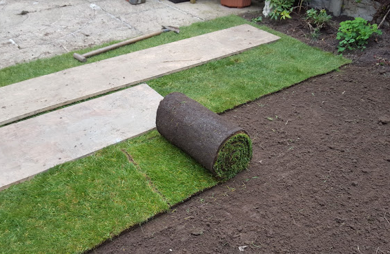 Budget Lawn Turf Roll (1m2). General Purpose / Hardwearing Lawn