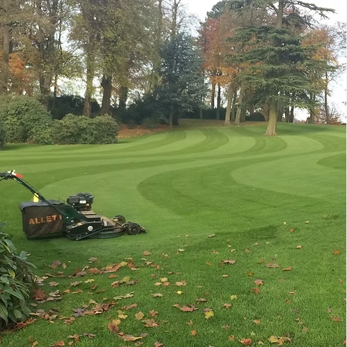 HM.5 Shade Grass Seed Mix (HM5)