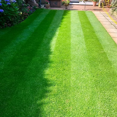 Deluxe Fine Turf Roll (1m2). Fine Lawn, Tees, Bowls