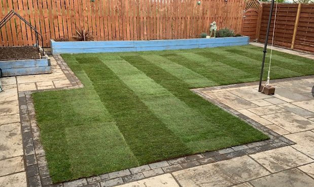 Budget Lawn Turf Roll (1m2). General Purpose / Hardwearing Lawn