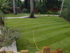 Premier Lawn Turf Roll (1m2). General Purpose / Hardwearing Lawn