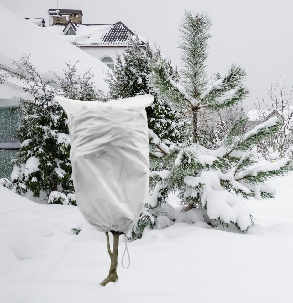 Protective Plant Cover, 50gsm Sack with Cord, Diameter: 51 cm, Size: 0.8m x 1 m