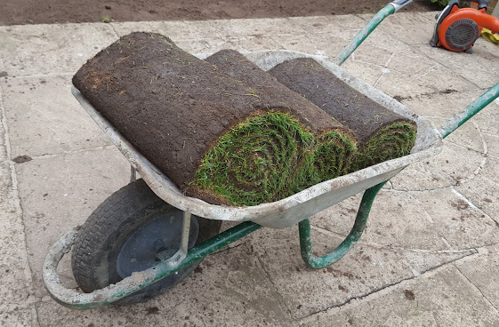 Premier Lawn Turf Roll (1m2). General Purpose / Hardwearing Lawn