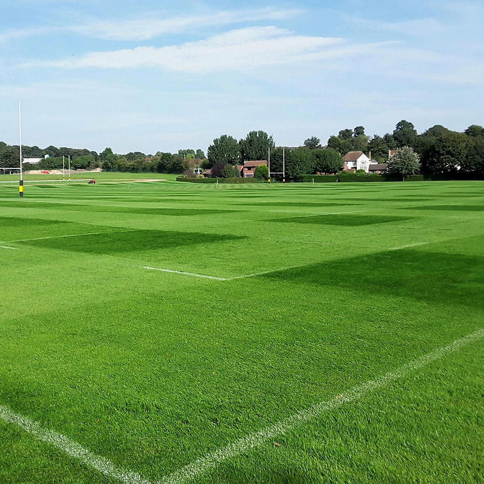 GO.2 general sports turf example