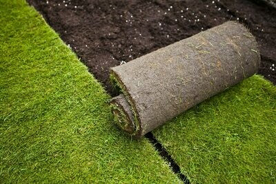 Lawn Shade Turf Roll (1m2). Shady Areas