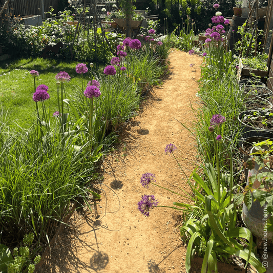 Hoggin Self Binding Gravel 10mm to dust