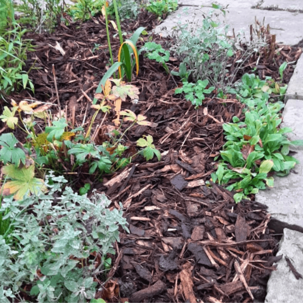 Landscaping Garden Bark Mulch