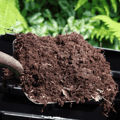 Spent Mushroom Compost