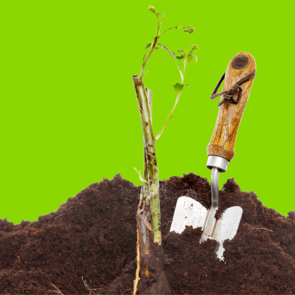 Bloom & Root® Rose Blend Topsoil