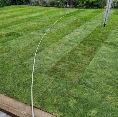 Budget Lawn Turf Roll (1m2).  General Purpose / Hardwearing Lawn