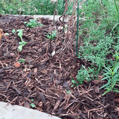 Landscaping Garden Bark Mulch