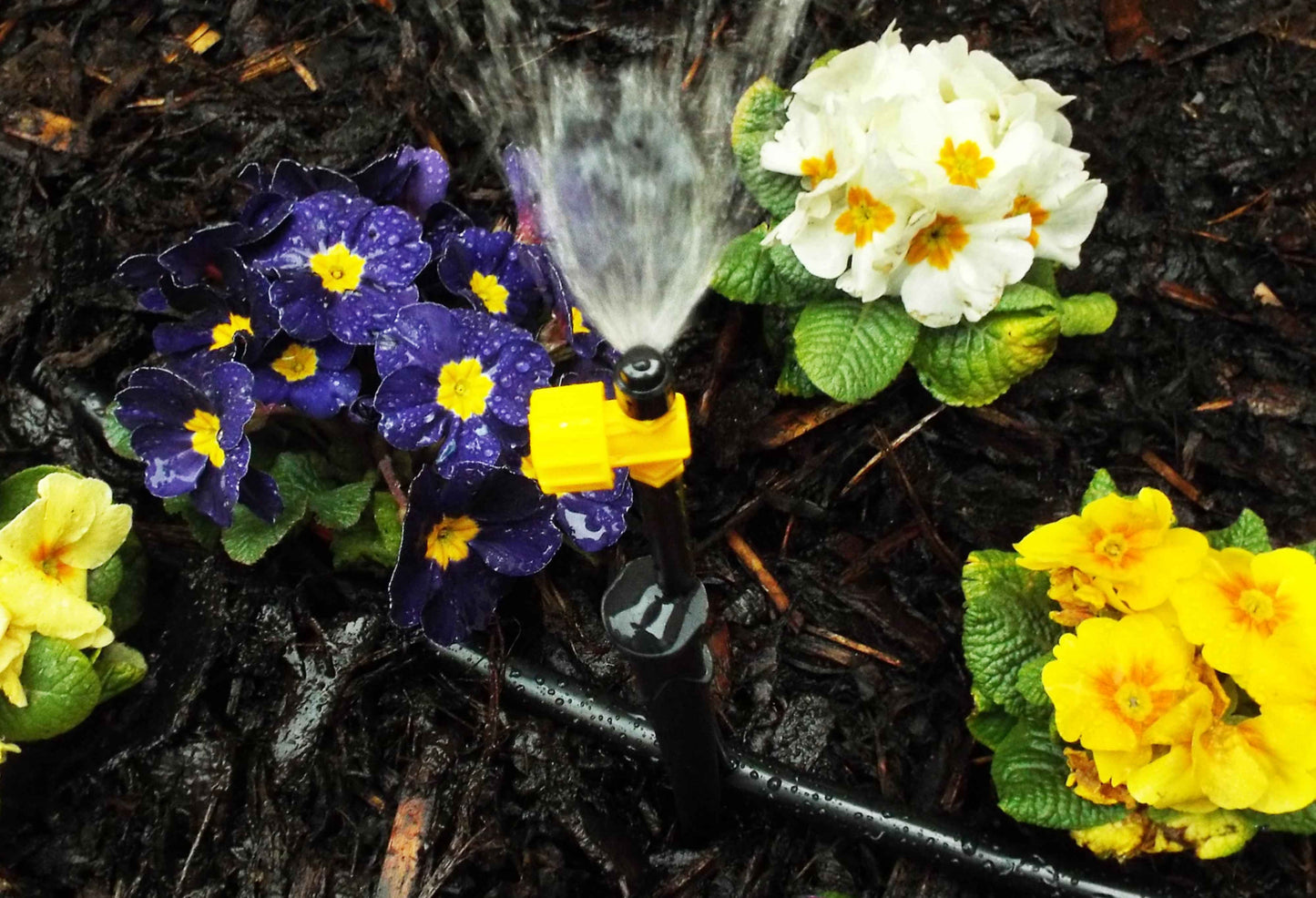 Antelco Vari-Jet™ 90° Black Cap/ Yellow Base