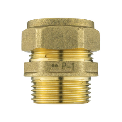 Brass Compression 22mm Straight with 20mm MDPE Straight
