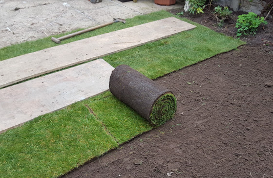 Budget Lawn Turf Roll (1m2).  General Purpose / Hardwearing Lawn