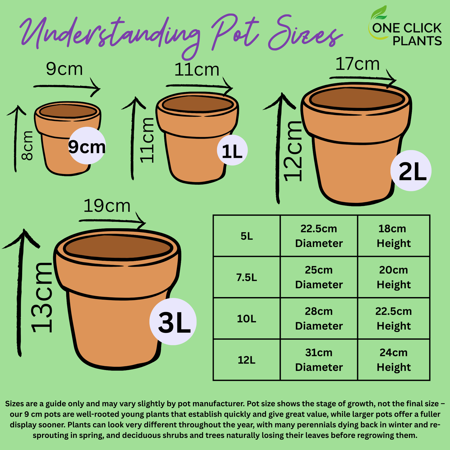 Helenium - Tip Top 1L