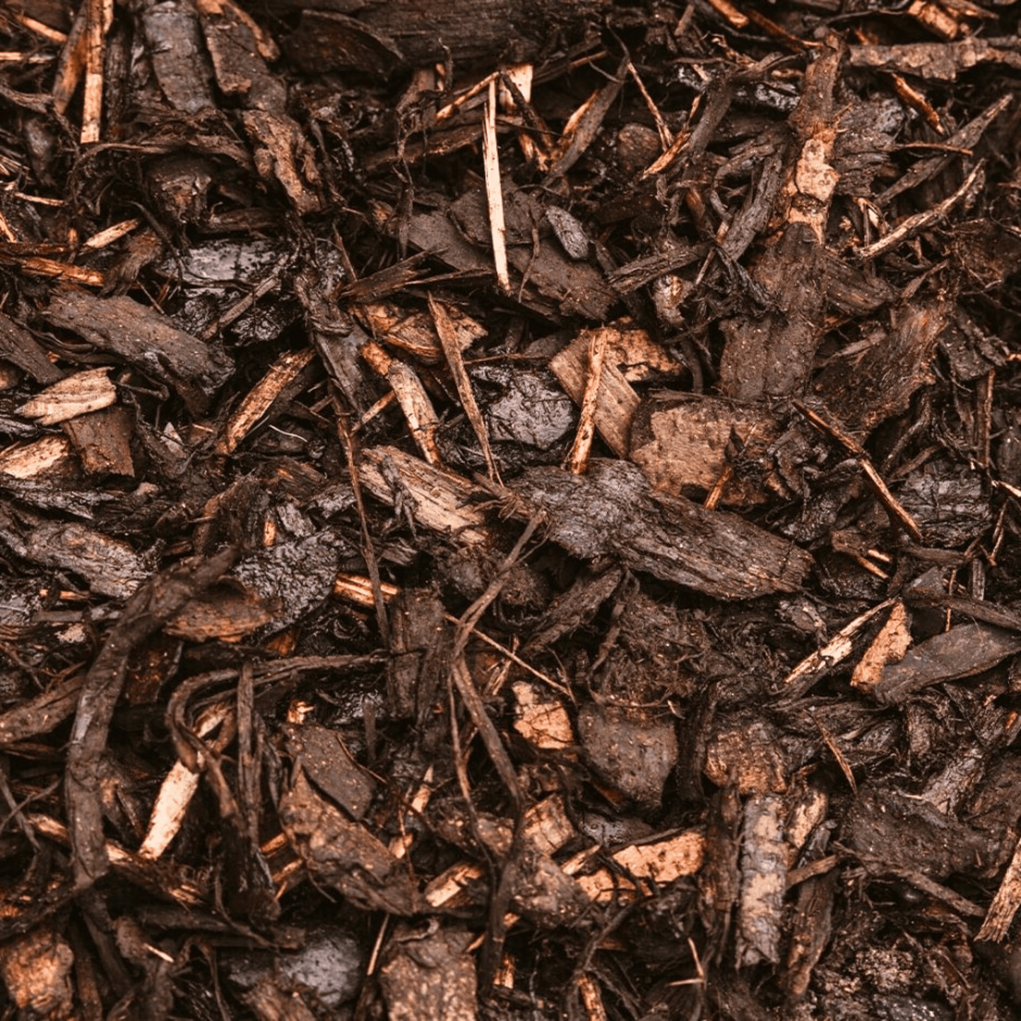 Landscaping Garden Bark Mulch