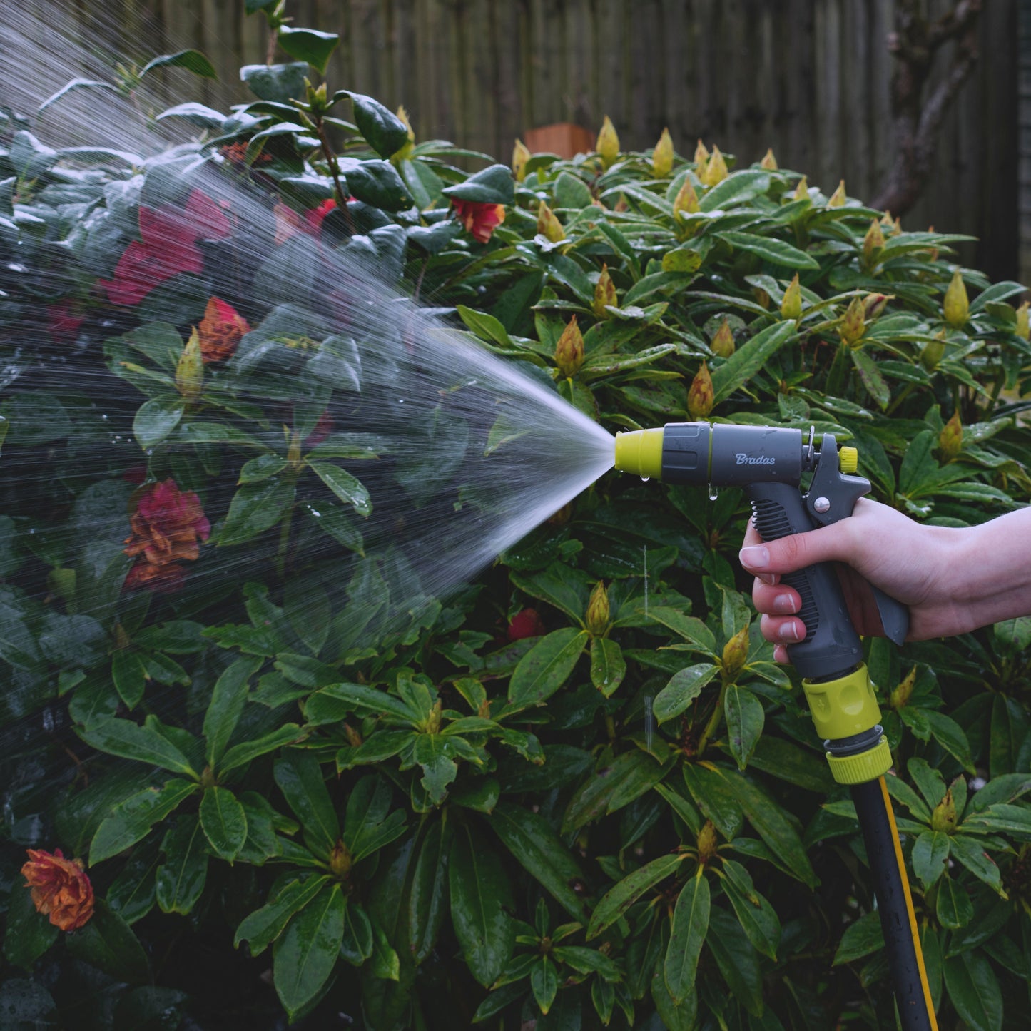 Hose Gun Water Sprayer Adjustable, Lime