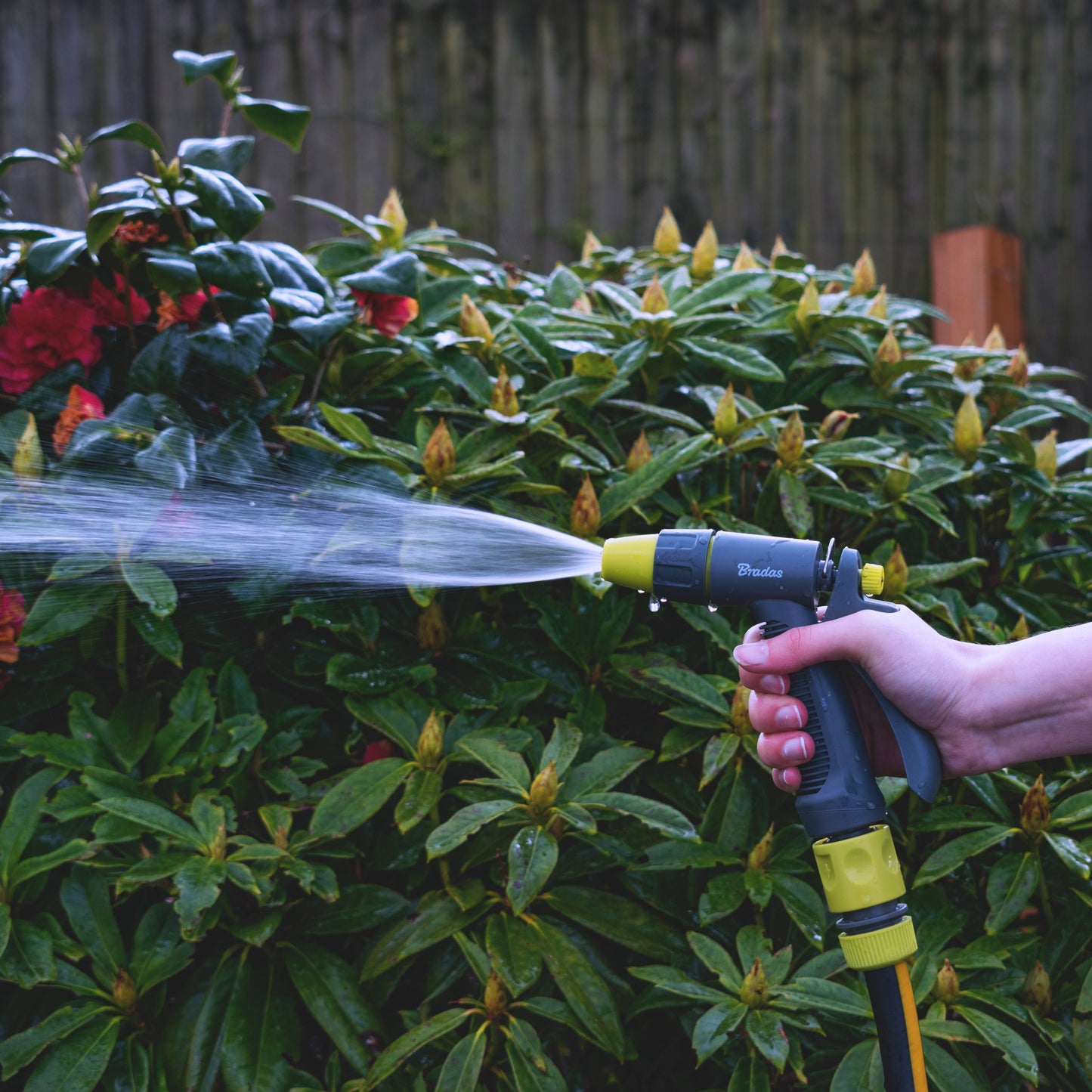 Hose Gun Water Sprayer Adjustable, Lime