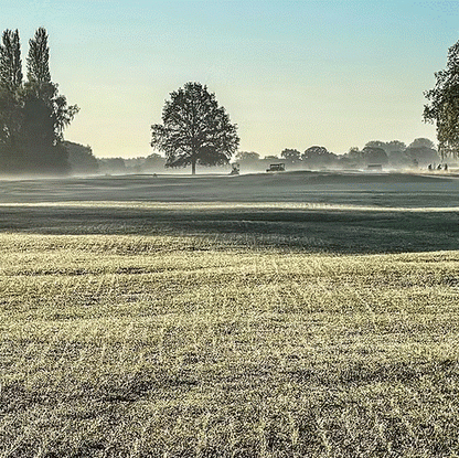 HF.2 Ryegrass Fairway Overseeder Grass Seed Mix (HF2)