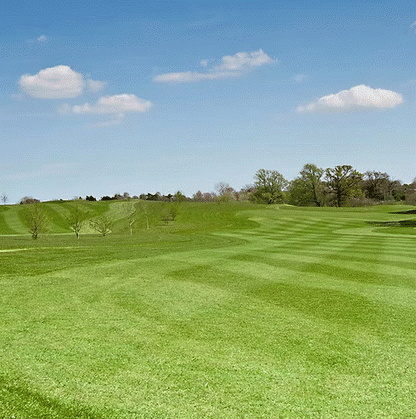 HF.3 Eco Fairway Overseeder Grass Seed Mix
