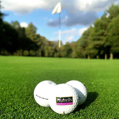 HG.1 Premium All Bent Greens Grass Seed Mix (HG1)