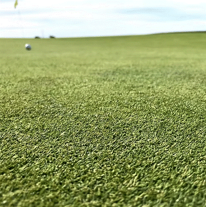 HG.2 Creeping Bent Grass Seed Mix (HG2)