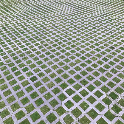 HL.9 Hexipath Gridding Grass Seed Mix (HL9)