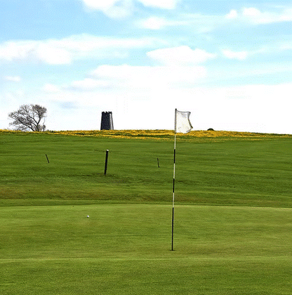 HPG Turf Perennial Greens Grass Seed Mix