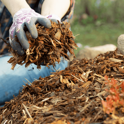 Landscaping Garden Bark Mulch