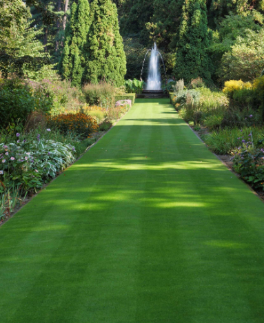 Lawn Shade Turf Roll (1m2). Shady Areas