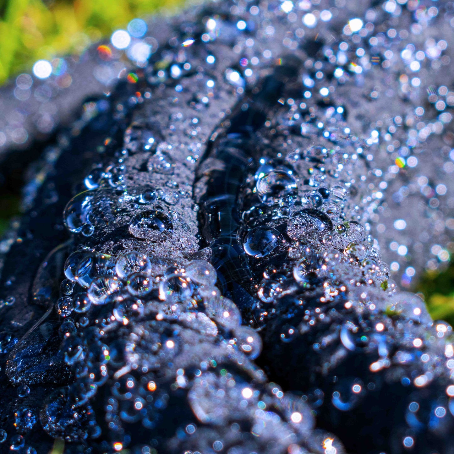 Porous Pipe Soaker Hose Cost Wise 200m