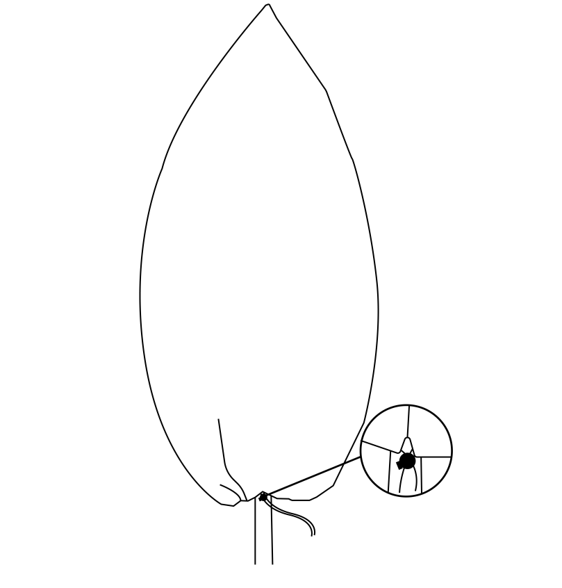 Protective Plant Cover, 50gsm Sack with Cord, Diameter: 89 cm, Size: 1.4m × 2.2m