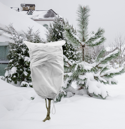 Protective Plant Cover, 50gsm Sack with Cord, Diameter: 89 cm, Size: 1.4m × 2.2m