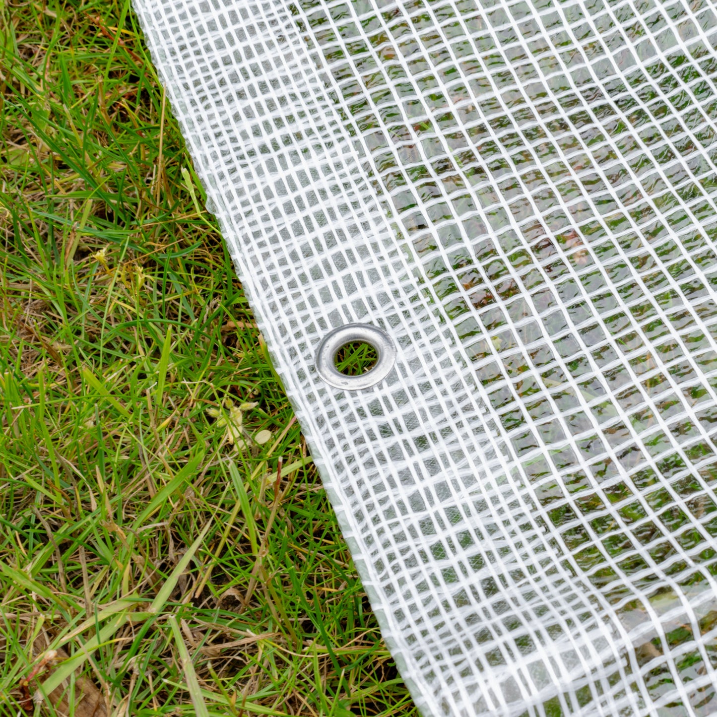 Clear M-Grade Tarpaulin 3m x 4m