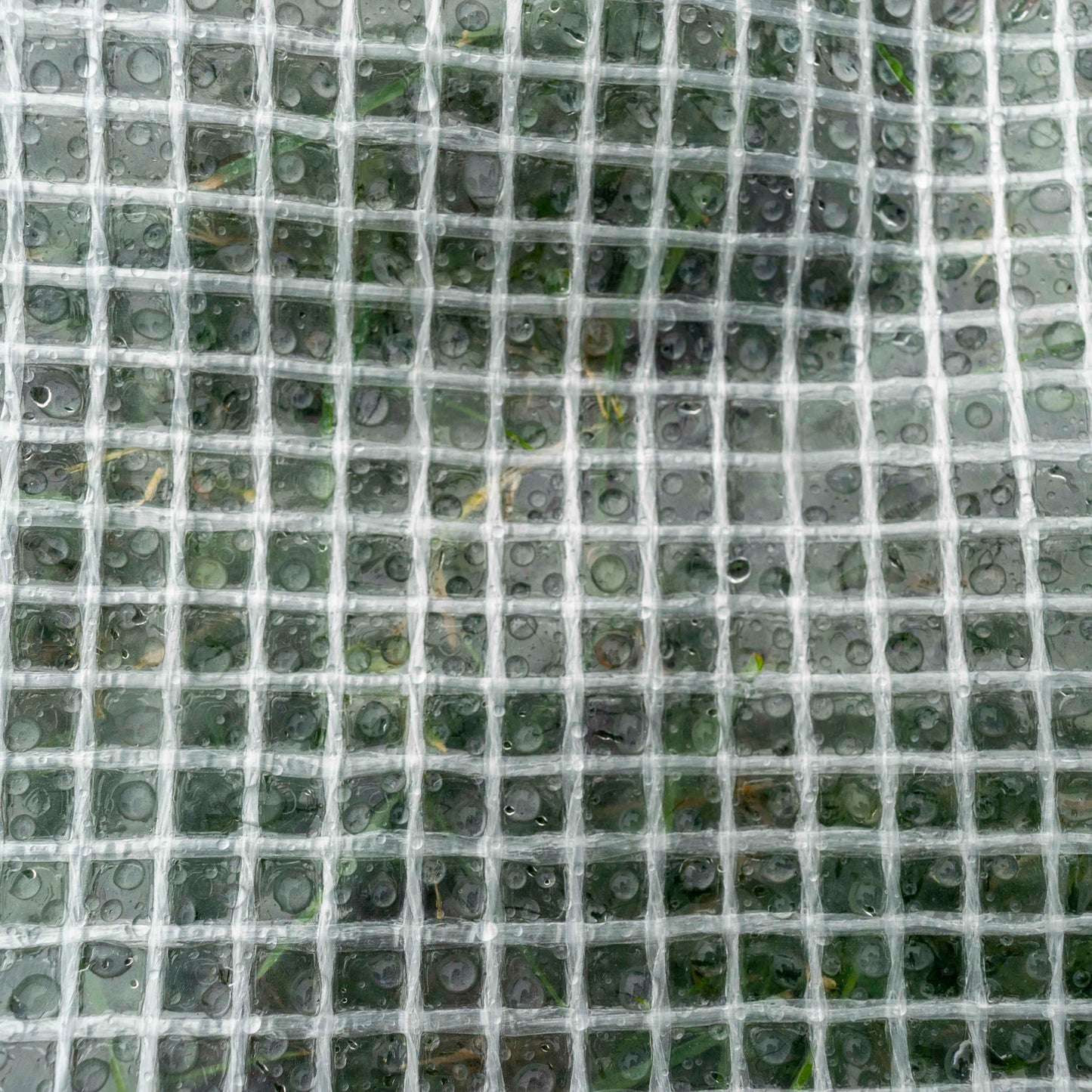 Clear M-Grade Tarpaulin 3m x 4m