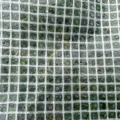 Clear M-Grade Tarpaulin 3m x 4m