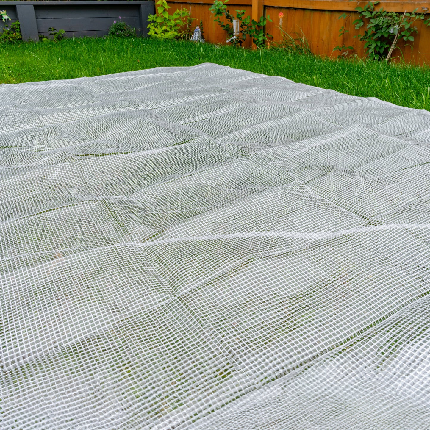 Clear XL-Grade Tarpaulin with 20 x 6" Bungee Balls (White)
