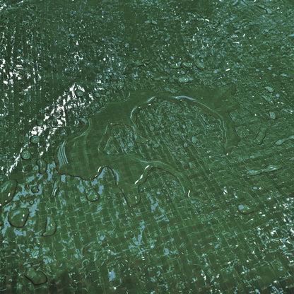 Green S-Grade Tarpaulin with 10 x 6" Bungee Balls (Black) and 10 x Screw Type Tarp Clips