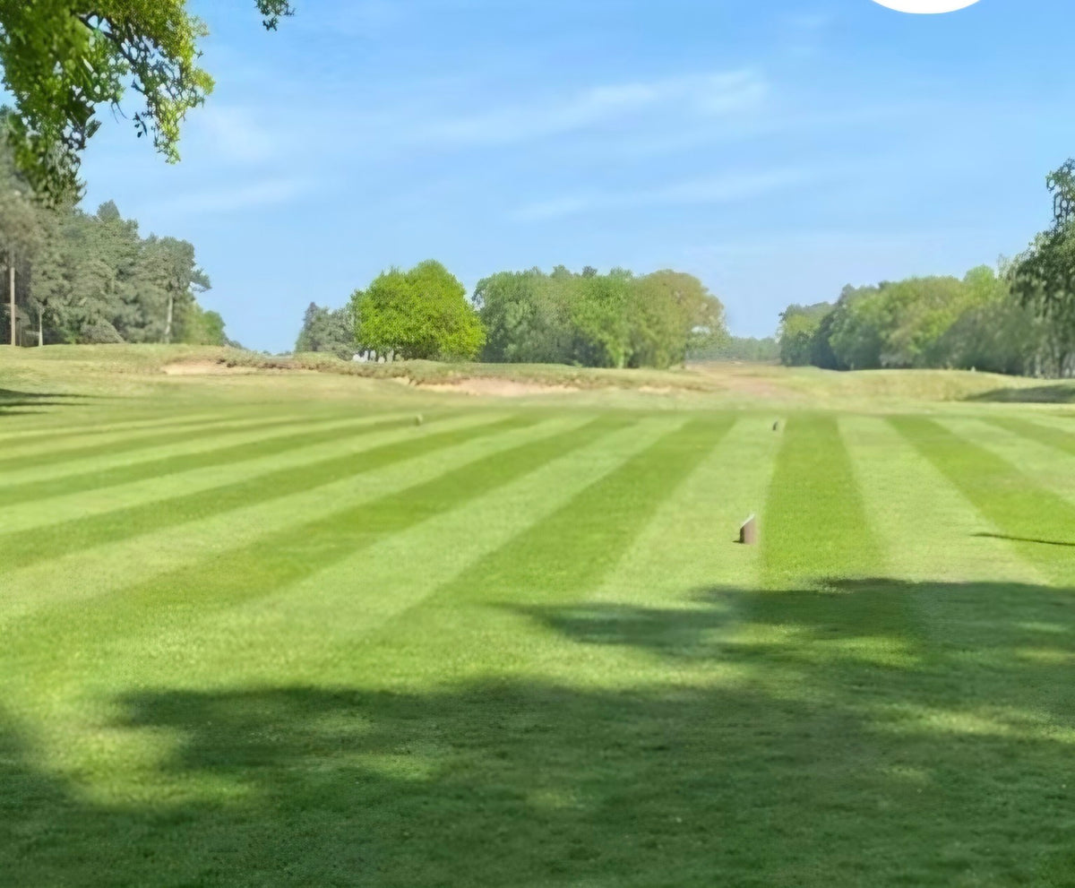 Striped golf tee and fairway turf for HT.1 Ryegrass Tees grass seed