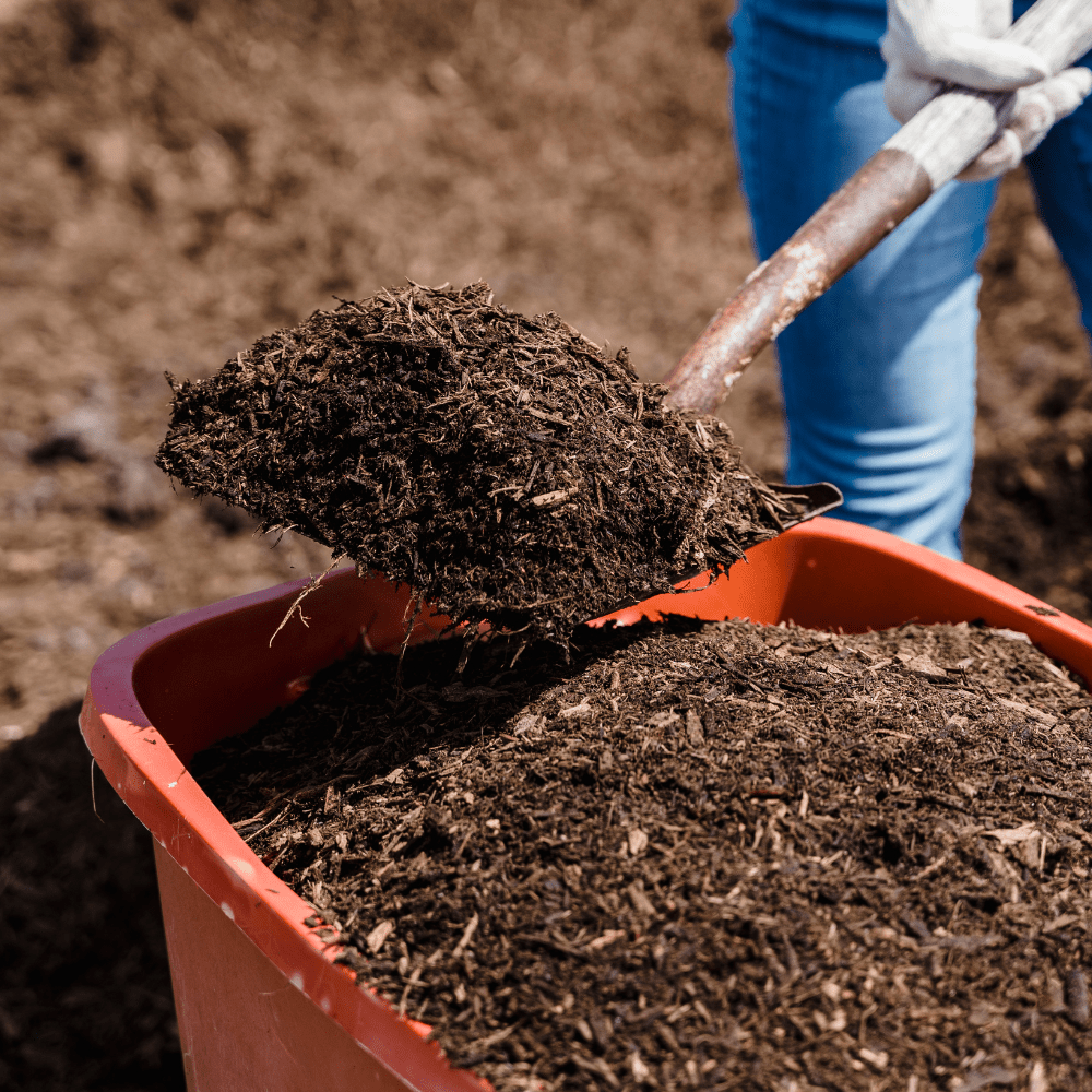Composted Mulch Bark Fines
