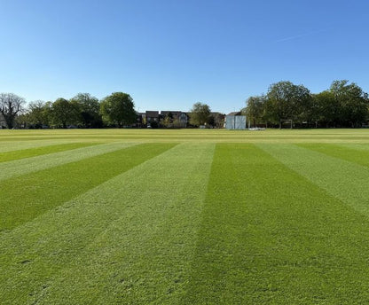 Lifesaver sports and amenity turf example