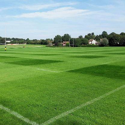 FR.4 football and rugby pitch example