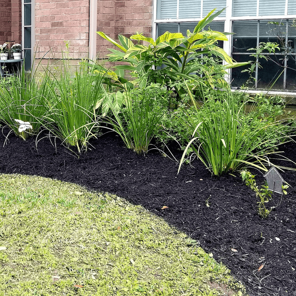 Springmix Compost Garden Mulch
